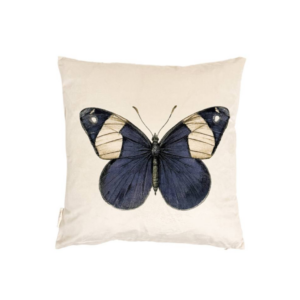 Blue Butterfly - púði