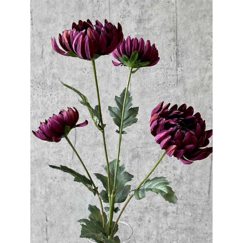 Krýsantemum - lilla h: 83cm - Image 3