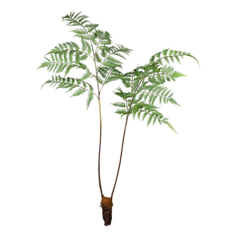 Fern stilkur m/mold h:105cm