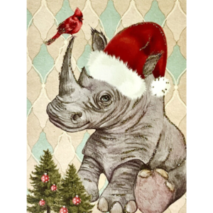Kort - Rhino