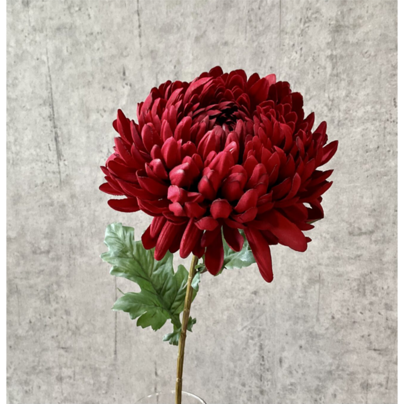 Chrysanthemum - rauð, 75cm - Image 2