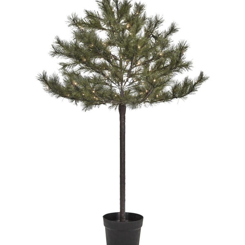 PEUCE - jólatré m/LED, 150cm