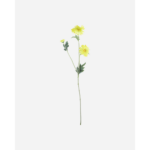 GERBERA - gult blóm