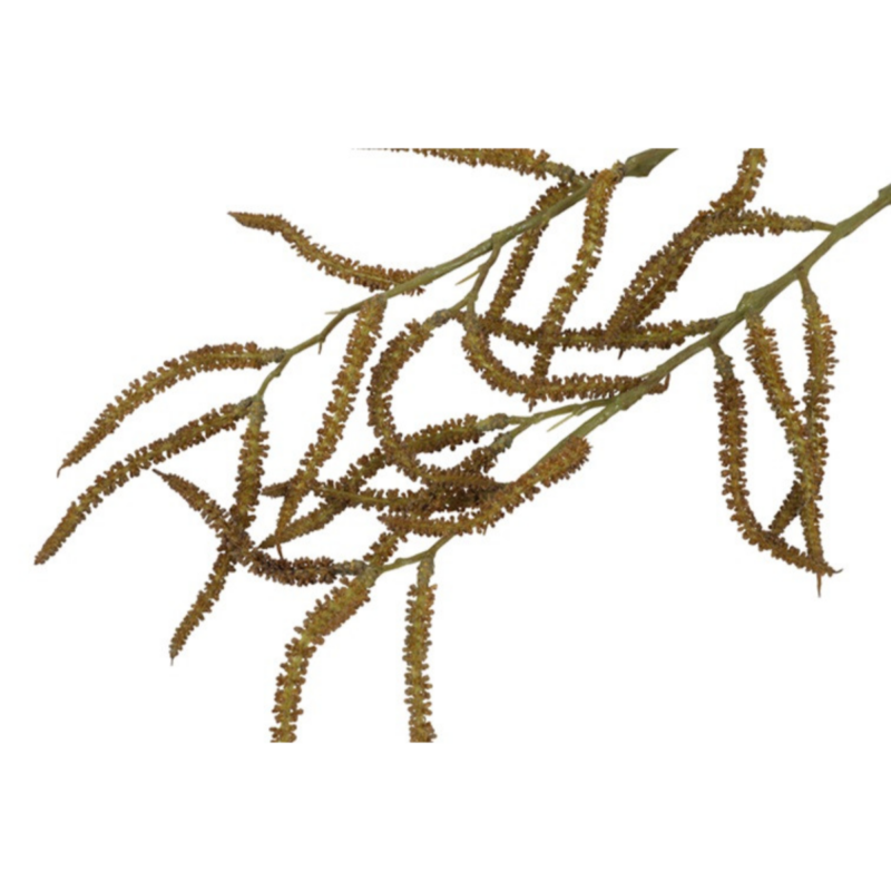 Amaranthus natur, 80cm - Image 2
