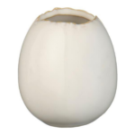 Vasi egg butter lærri