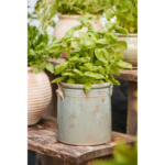 Pottur/krukka - ljós grá, 15cm