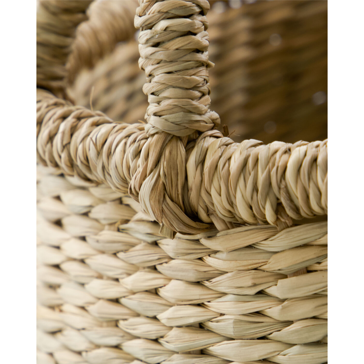 CESTA - Körfur - Image 2