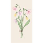 Servíettur - springdrops 16 í Pk