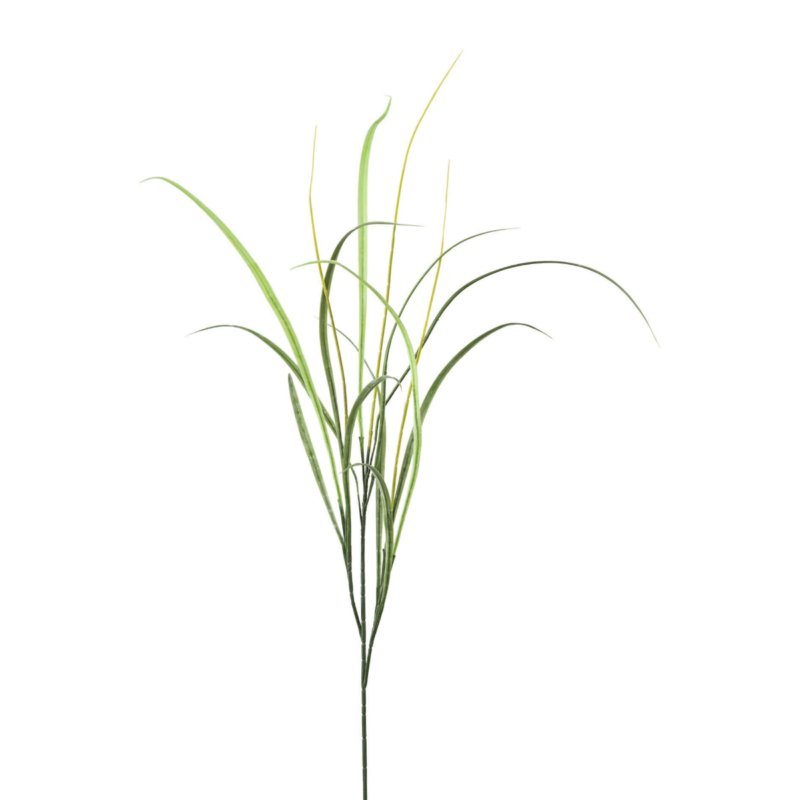 Gras h:117cm