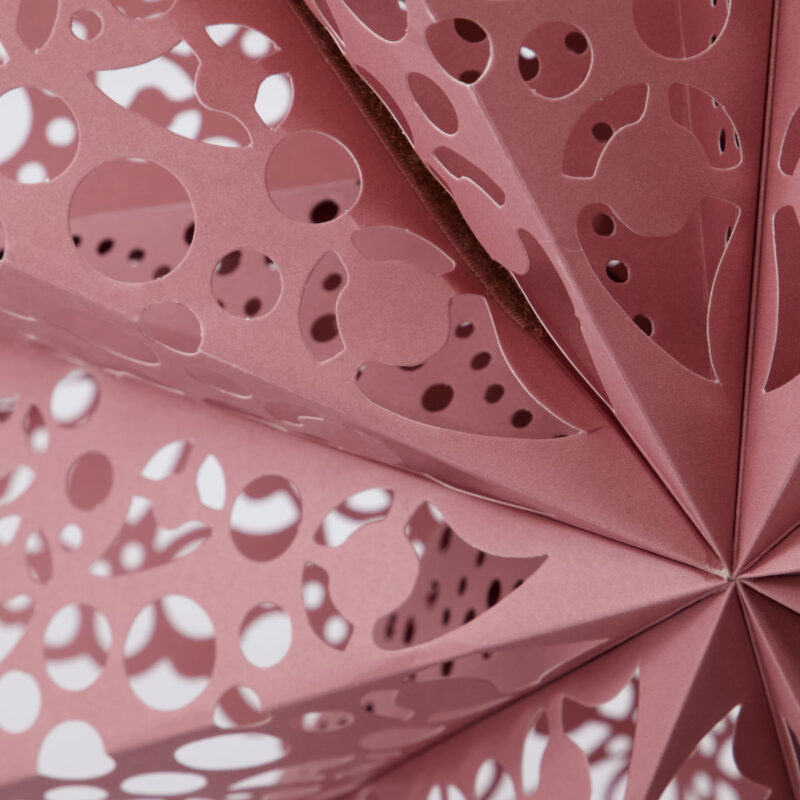 CLIP - Pappastjarna, dusty rose, 60cm - Image 2