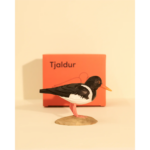 Íslandsfuglar - Tjaldur