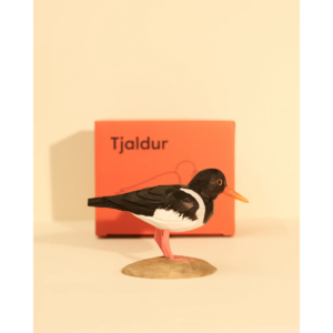 Íslandsfuglar - Tjaldur