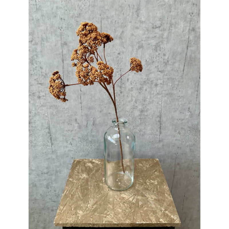 Eupatorium - brún, 57cm - Image 3