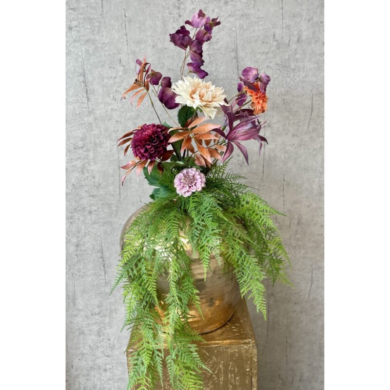 Aspas gerviplanta, hangandi l:80cm - Image 2
