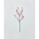 Grein rauð ber h:97cm