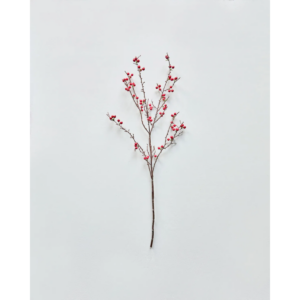 Grein rauð ber h:97cm