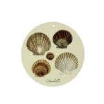 Platti - Seashells