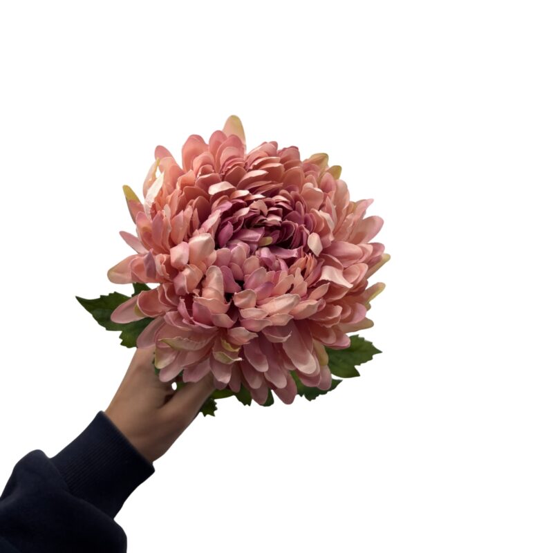 Krýsantemum - Rose, 75cm - Image 2