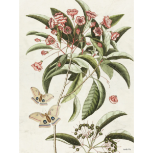 Mynd - Leaves and butterflies 20x25cm