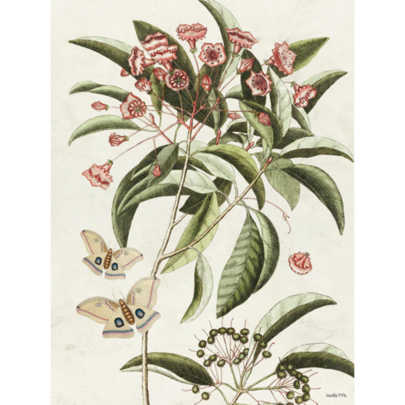 Mynd - Leaves and butterflies 20x25cm