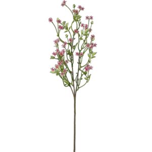 Pumila búnt - bleikt, 34cm