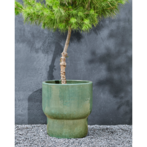 TERRA - Blómapottur, 55cm