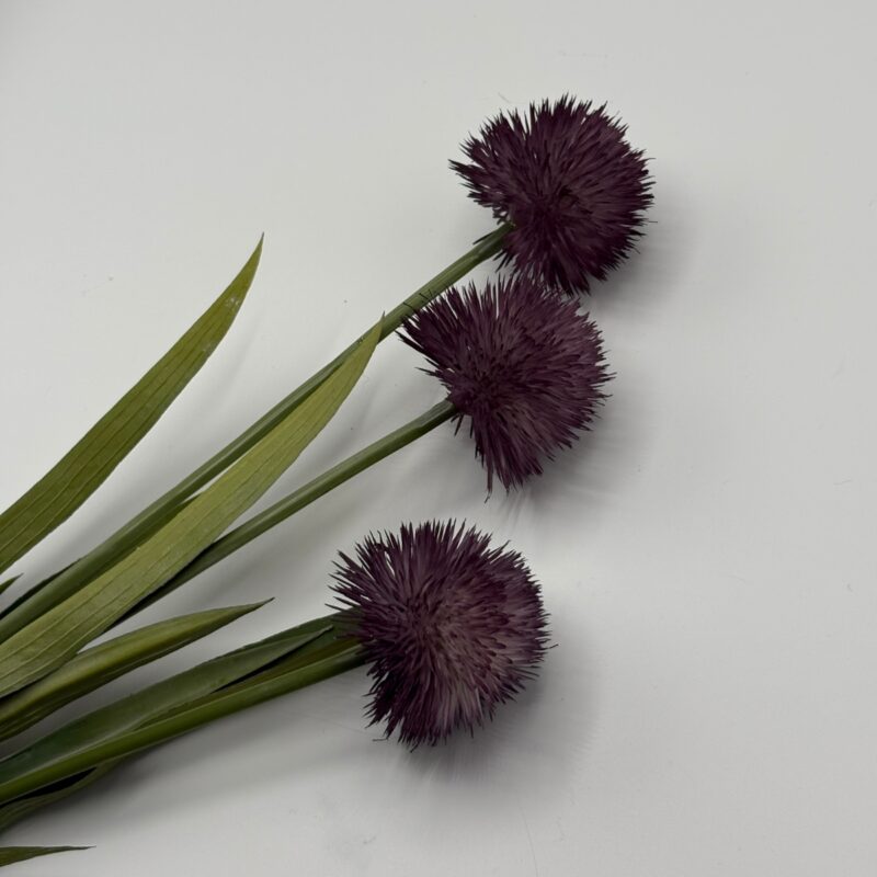 ALLIUM - Fjólublátt, 60cm - Image 2