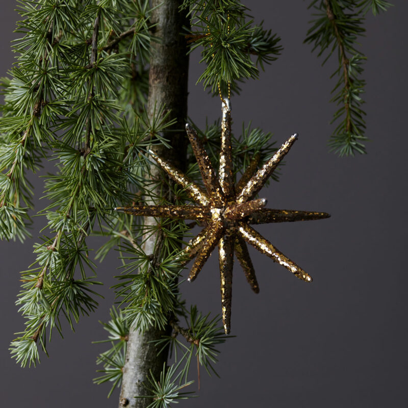 SPIKE - Gyllt glimmer, stærri - Image 3