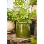 Pottur/krukka - mosa græn, 15cm