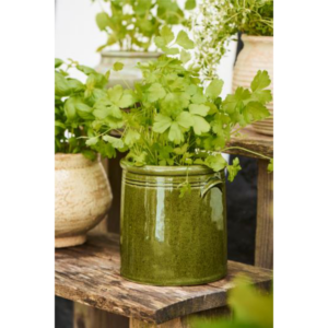 Pottur/krukka - mosa græn, 15cm