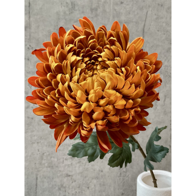 Krýsantemum - ljós orans h: 75cm - Image 3