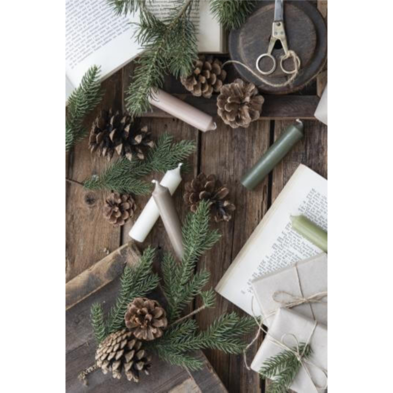 Stubbakerti  - Forest grænt - Image 3