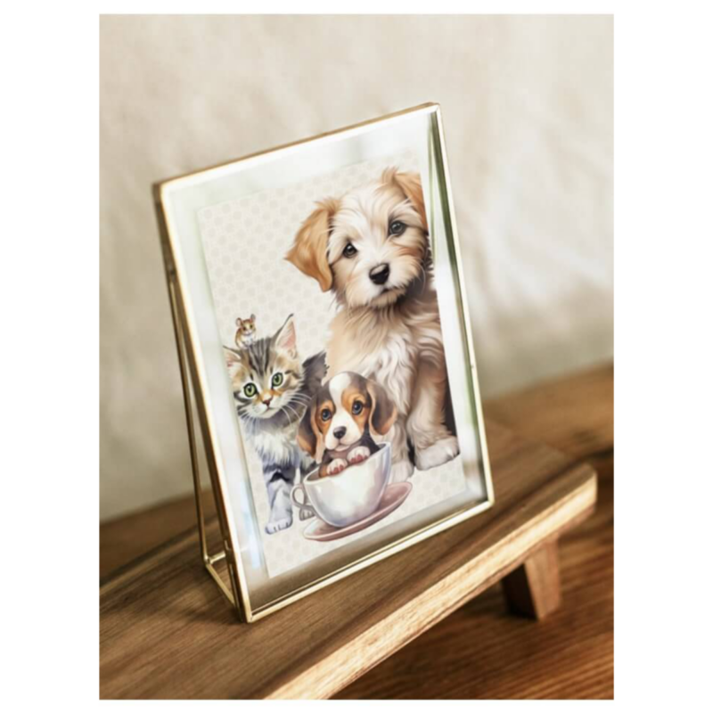 Mynd - Pets - Image 2