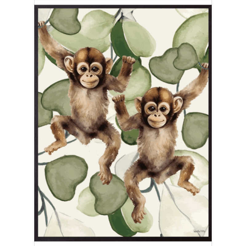Mynd - Monkeys