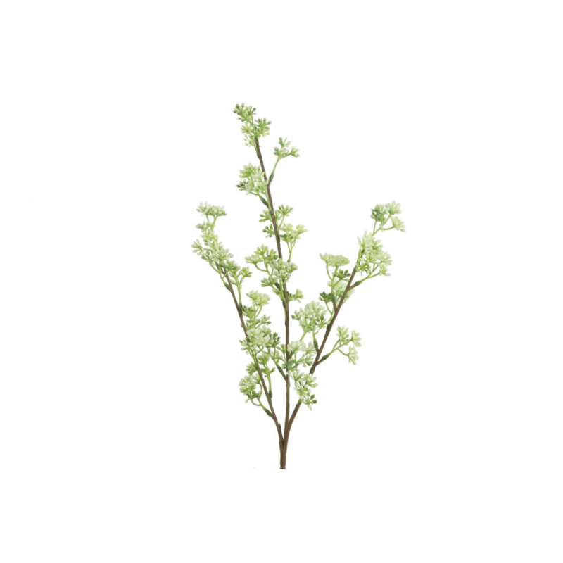 Kirsuberjagrein - hvít, h: 65cm