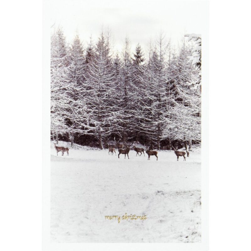 WINTER - Kort m/ umslög 6stk - Image 5