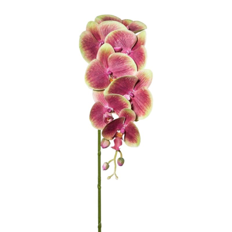 Orkidea - grænt/lilla, 87cm