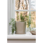 SAGA - Blómapottur m/skál, beige 15cm