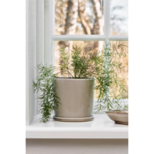 SAGA - Blómapottur m/skál, beige 15cm