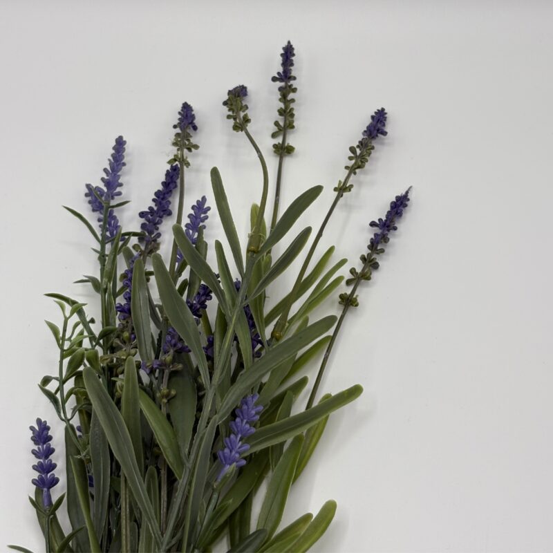Lavender, 48cm - Image 2