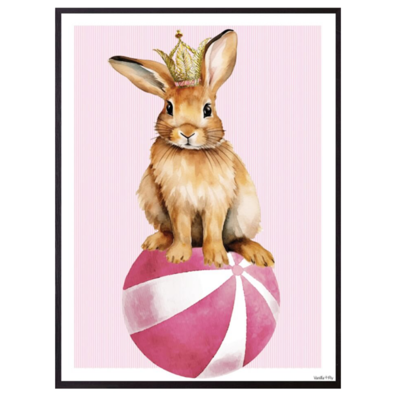 Mynd - Rabbit