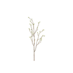 Mandstro grein h:75cm