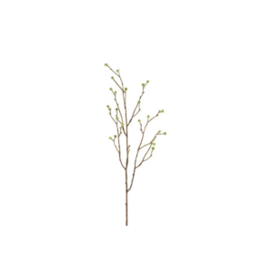 Mandstro grein h:75cm