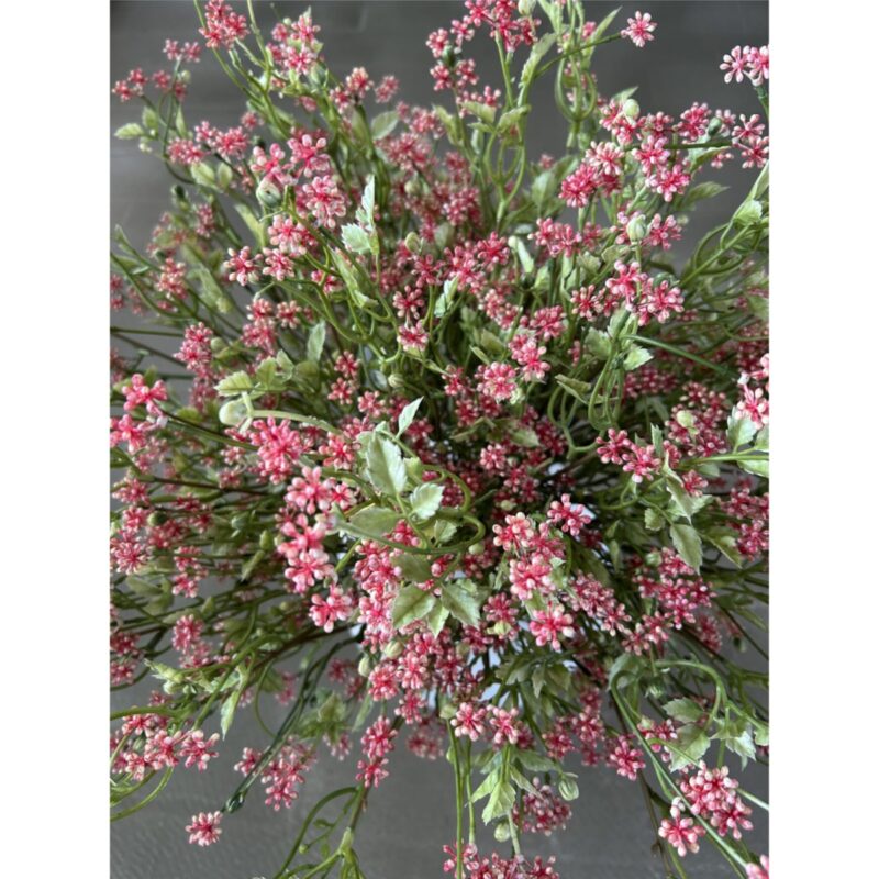 Pumila búnt - bleikt, 34cm - Image 5