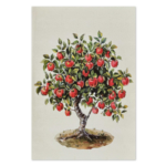 Kort - Apple tree