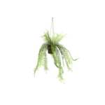 Fern - hangandi, græn 60cm