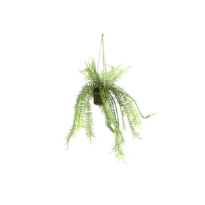 Fern - hangandi, græn 60cm