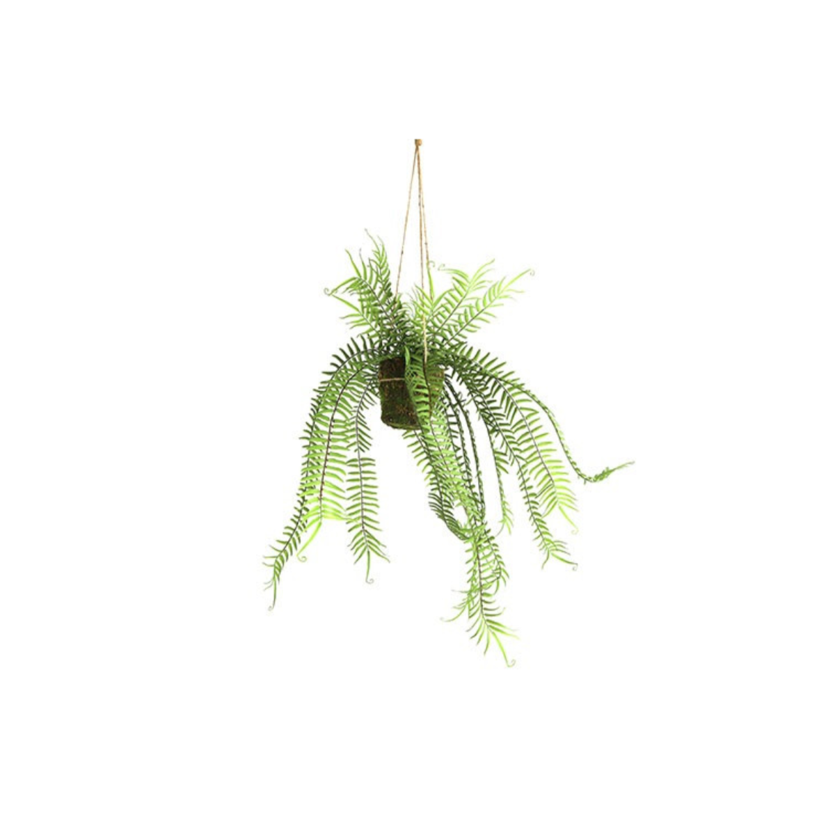 Fern - hangandi, græn 60cm