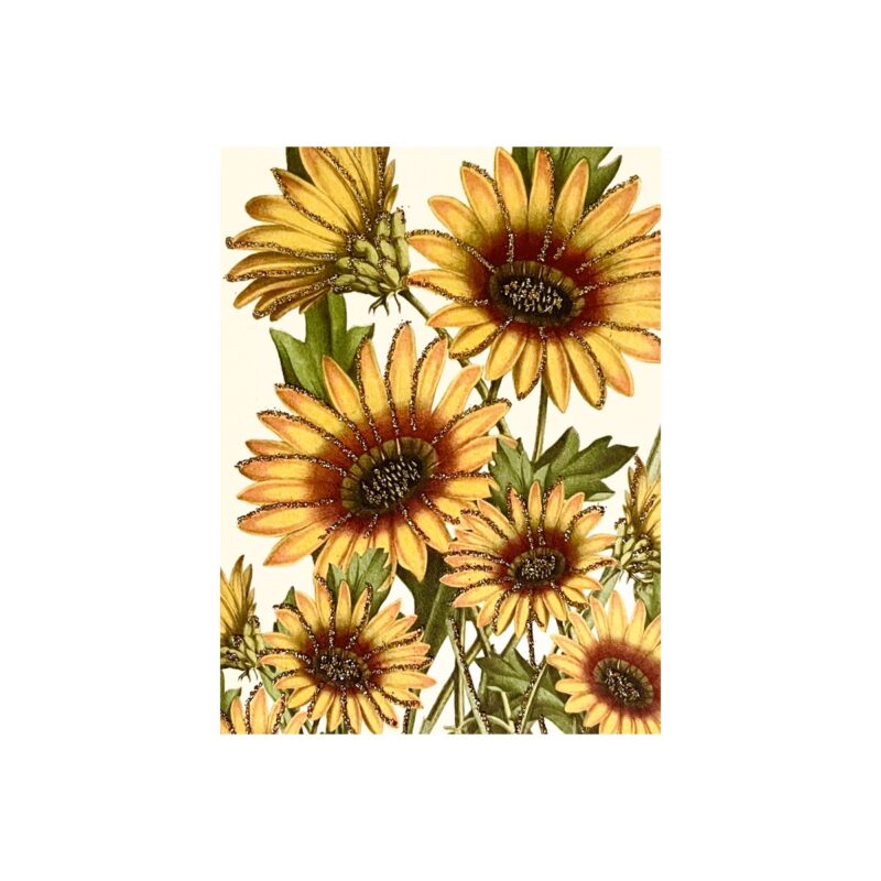 Kort - Sunflower