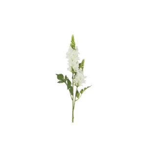 Lúpína - hvít h: 77cm